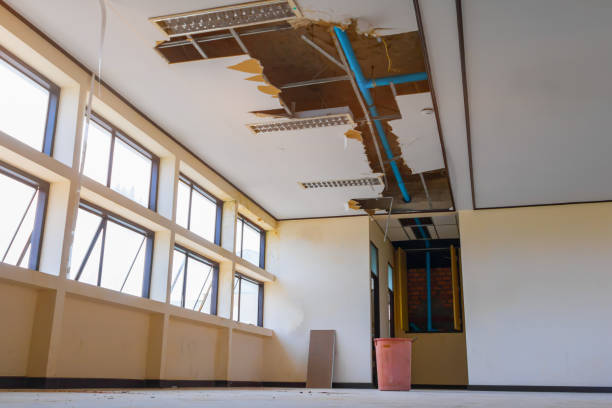Best Water damage restoration near me  in Hooper, UT