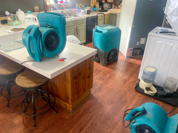 Best Residential water damage restoration  in Hooper, UT