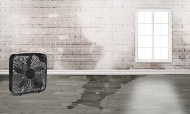 Best Professional water damage repair  in Hooper, UT